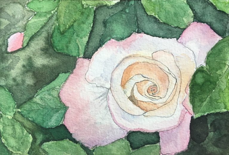 watercolor painting of light pink rose with green leaves and background